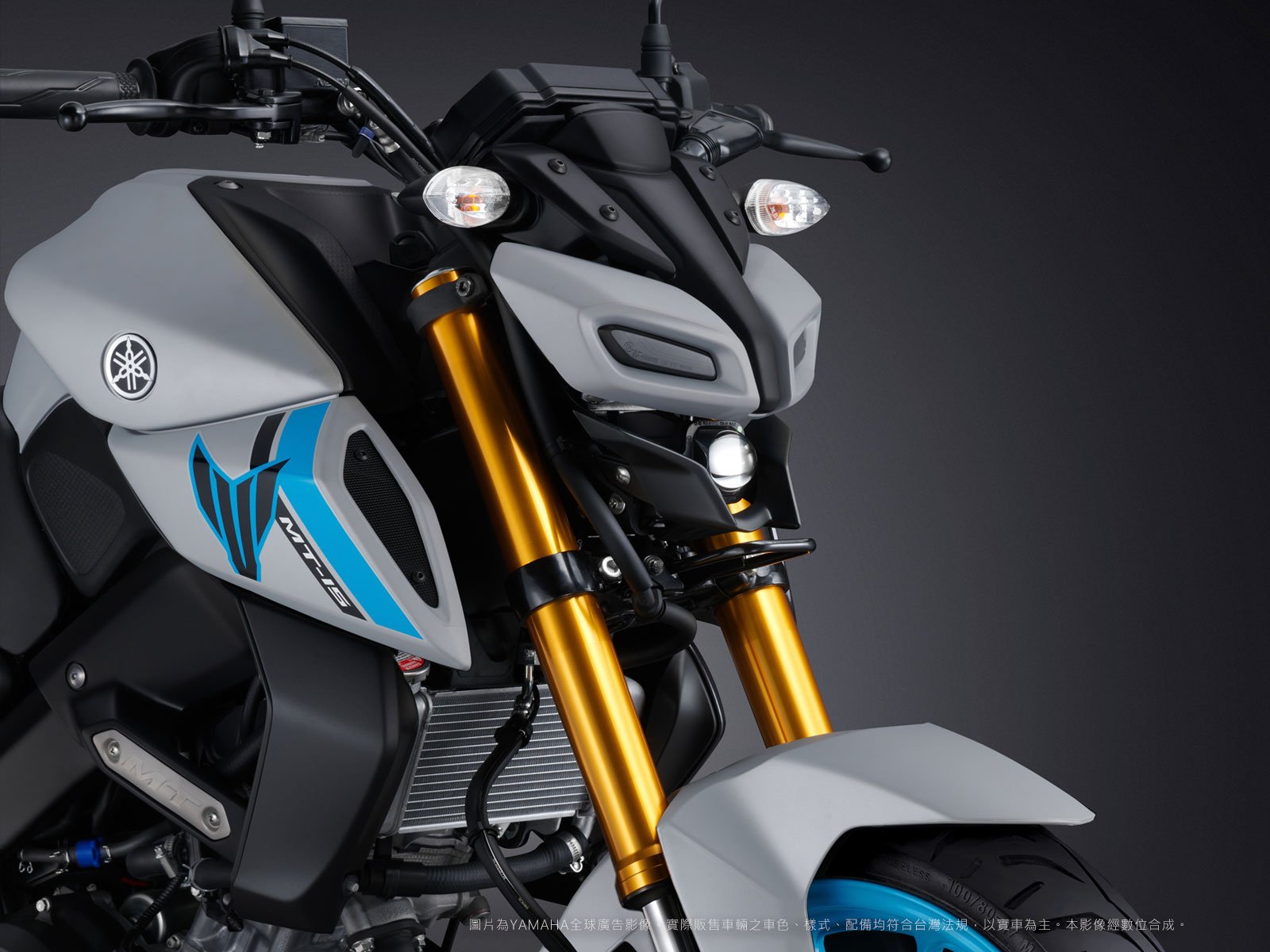YAMAHA MT-15 Φ37mm 倒立式前叉